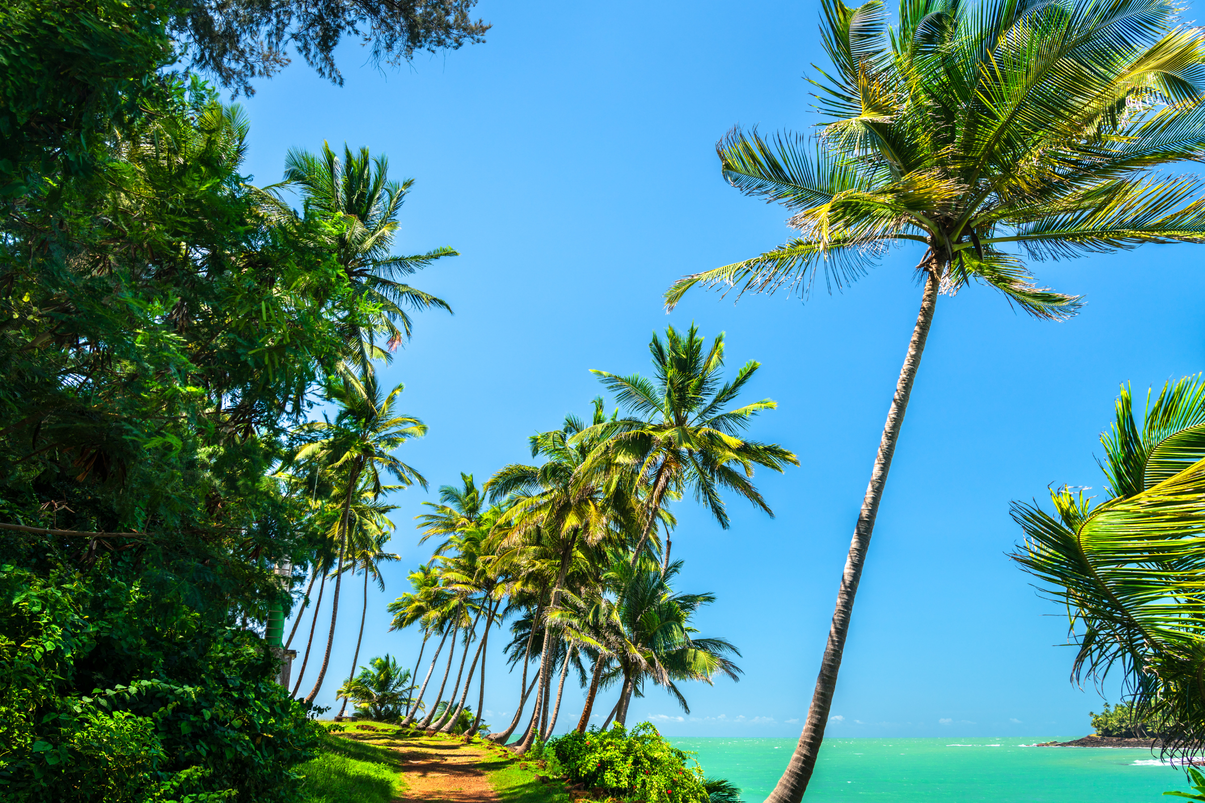 ile royale, salvation islands (2).webp